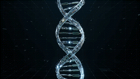 Double Helix